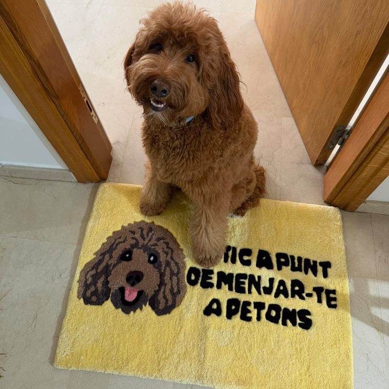 The finished rug by a front door, with the dog sitting on it.